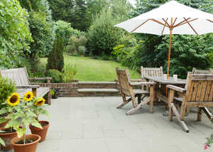swans in the lake at abbotsbury swannery