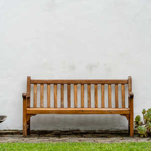 swans in the lake at abbotsbury swannery