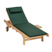 Sun Lounger Fully Raised with Cushion.png
