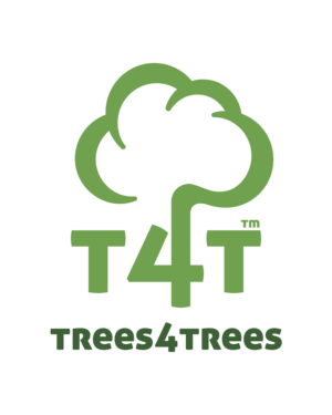 visitors gather at the edge of the lake at abbotsbury swannery